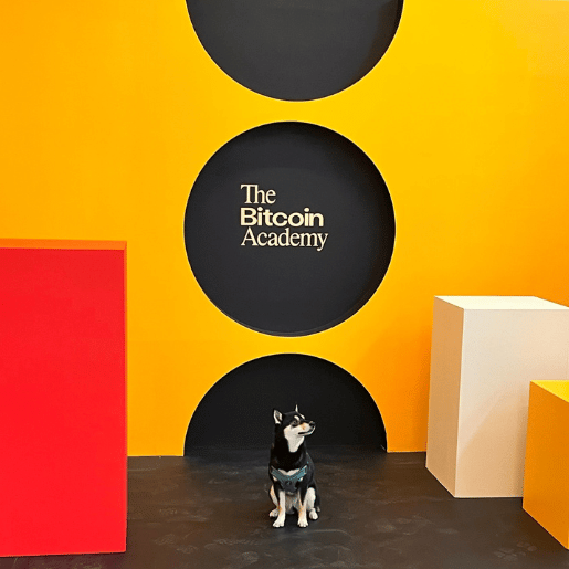 StoneDog Studios Popup Fabrication. Doggy in front of Popup Fabrication